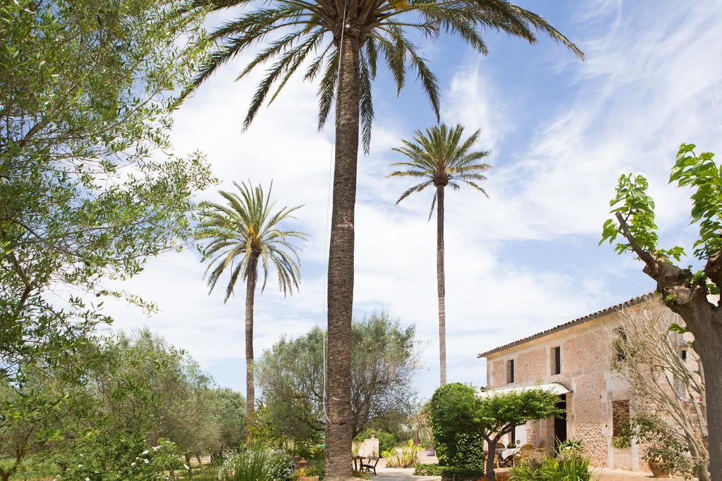 Agroturismo Es Pla De Llodra Manacor  Luaran gambar
