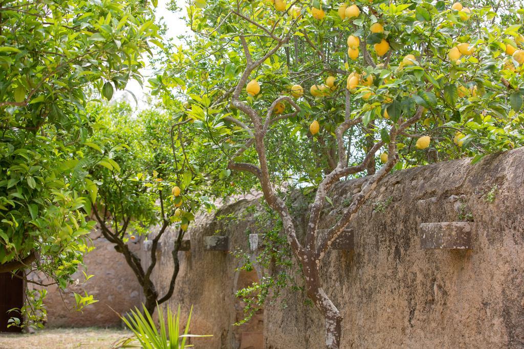 Agroturismo Es Pla De Llodra Manacor  Luaran gambar
